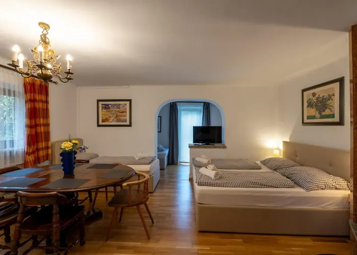 Grossraumappartement Mit Gartenterrasse