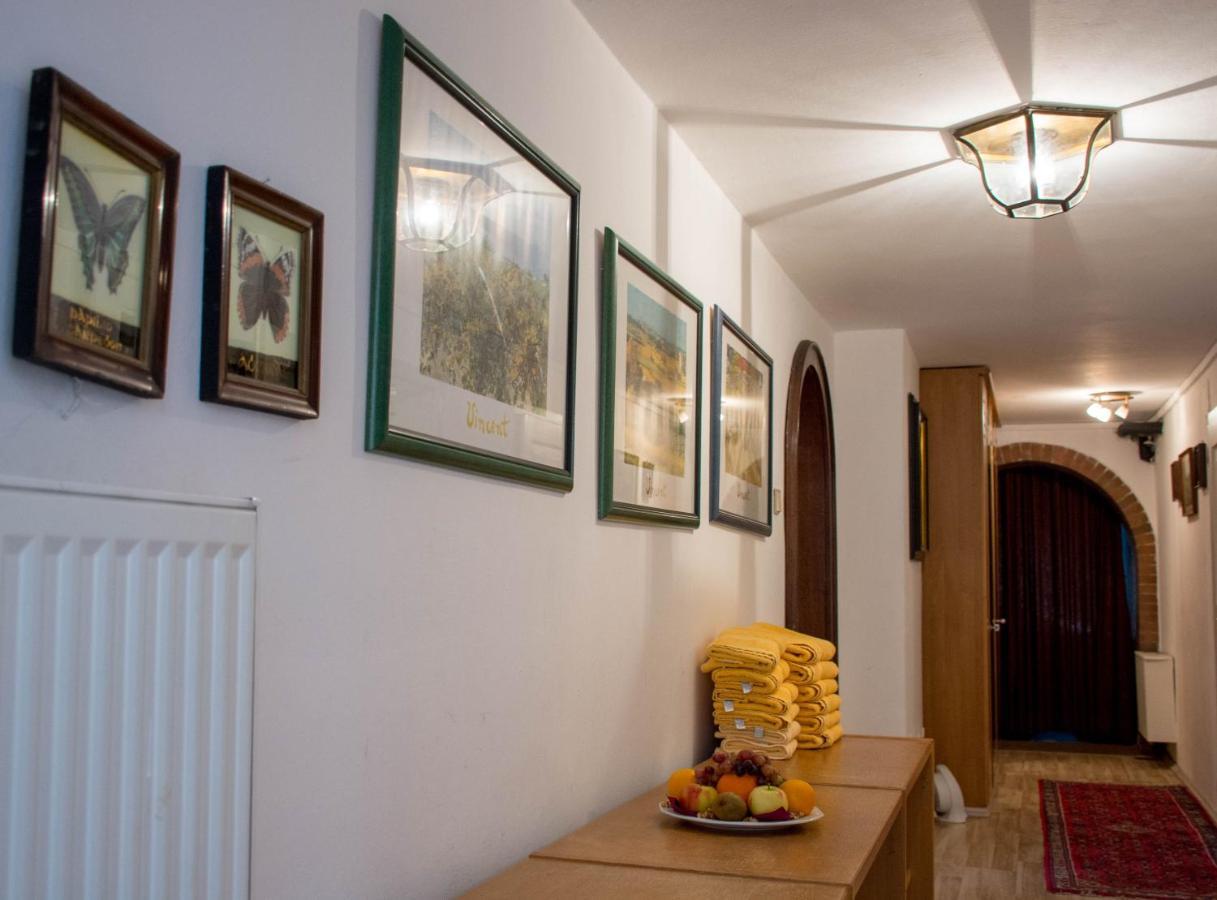Apartment Grossraumappartement Mit Gartenterrasse *